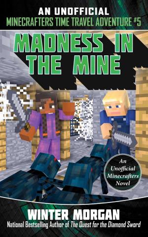 Book cover of Madness in the Mine