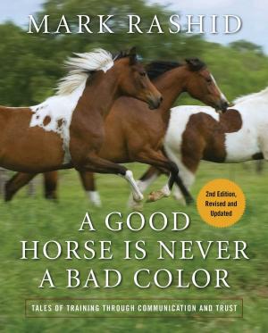 Cover of the book A Good Horse Is Never a Bad Color by Farnoosh Brock