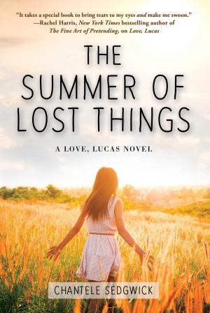 Cover of the book The Summer of Lost Things by Beth Vrabel