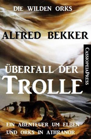 Cover of the book Überfall der Trolle by Alfred Bekker, Hendrik M. Bekker, Wilfried A. Hary, Harvey Patton, Bernd Teuber