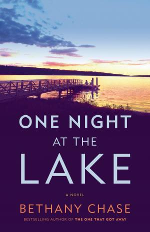 Cover of the book One Night at the Lake by Shelby Mitchell