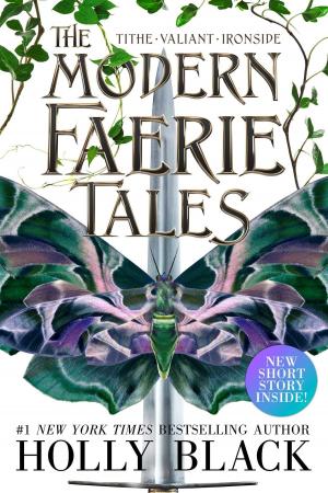 bigCover of the book The Modern Faerie Tales by 