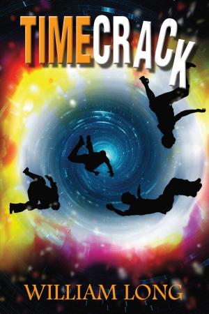 Cover of the book Timecrack by Stan Schatt