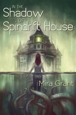 Cover of the book In the Shadow of Spindrift House by Lewis Shiner
