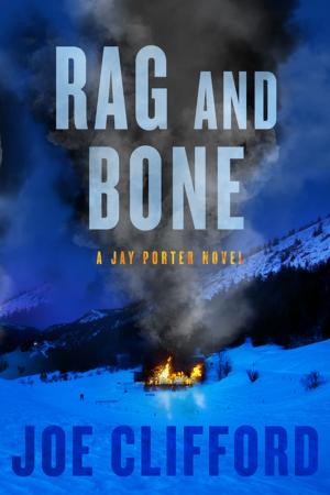 Cover of the book Rag and Bone by Rob Leininger