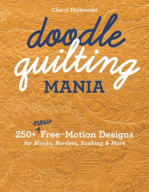 bigCover of the book Doodle Quilting Mania by 