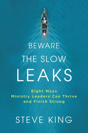 Cover of the book Beware the Slow Leaks by Kayode Crown