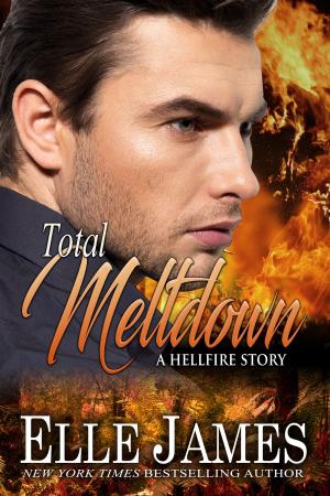 Cover of the book Total Meltdown by Elle James