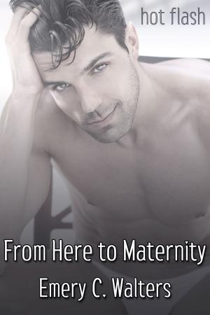 Cover of the book From Here to Maternity by R.W. Clinger