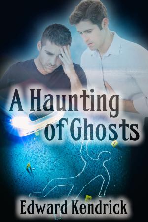 Cover of the book A Haunting of Ghosts by Stephanie Park