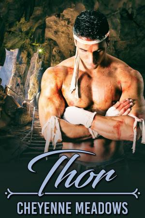 Cover of the book Thor by Paul Alan Fahey