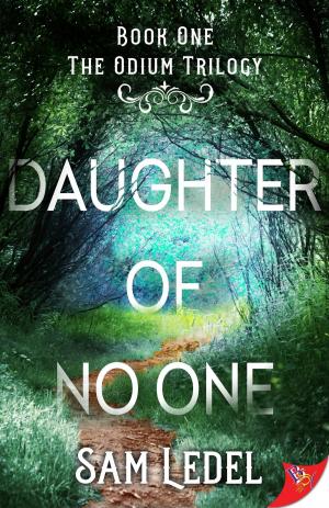Cover of the book Daughter of No One by Barbara Ann Wright
