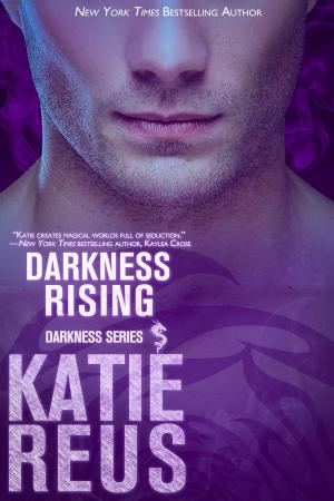 Book cover of Darkness Rising