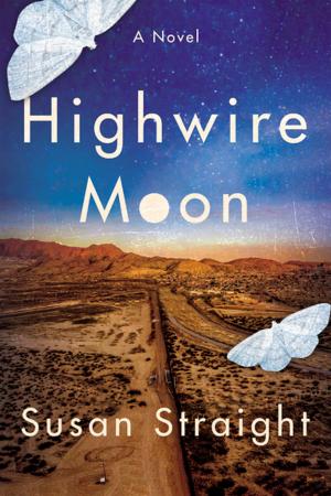 Cover of the book Highwire Moon by Evan Connell