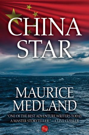 bigCover of the book China Star by 