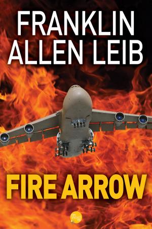 Cover of the book Fire Arrow by Ewan Butler