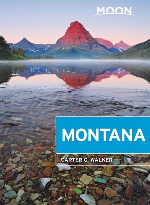 bigCover of the book Moon Montana by 