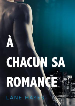 Cover of the book À chacun sa romance by JM Nash