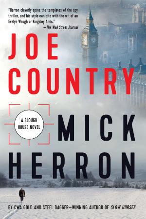 Cover of the book Joe Country by Ron Simpson