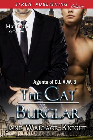 Cover of the book The Cat Burglar by Destiny Blaine