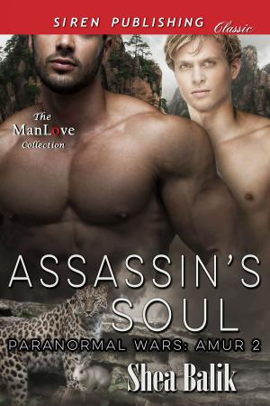 Cover of the book Assassin's Soul by Kevin J. McArthur