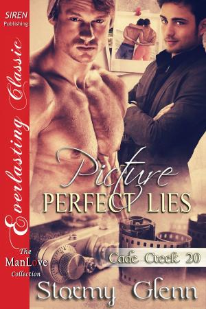 Cover of the book Picture-Perfect Lies by J. Annas Walker