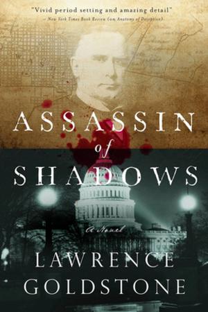 Cover of the book Assassin of Shadows: A Novel by Molly MacRae