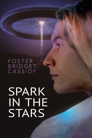 Cover of the book Spark in the Stars by F.E. Feeley Jr, Jamie Fessenden, Kim Fielding, B.G. Thomas