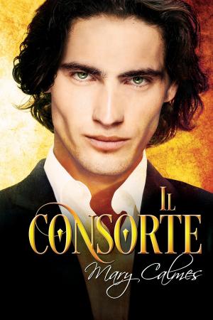 Cover of the book II consorte by A.J. Llewellyn