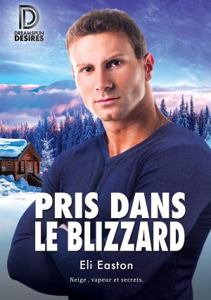 Cover of the book Pris dans le blizzard by J.R. Loveless