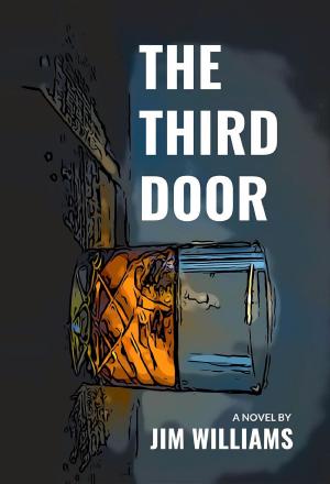 Cover of The Third Door