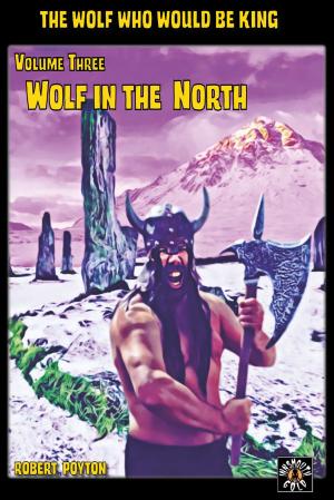 Cover of the book Wolf in the North by B.A. Schellenberg