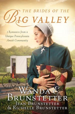 Cover of the book The Brides of the Big Valley by Jennifer AlLee, Carla Olson Gade, Lisa Karon Richardson, Gina Welborn