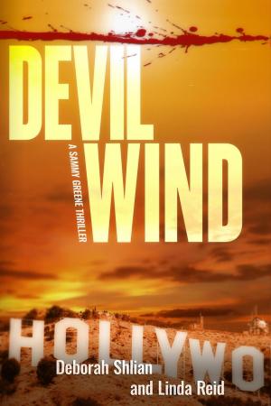 Book cover of Devil Wind