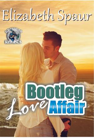 Cover of the book Bootleg Love Affair by Emilie Richards