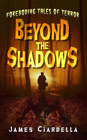 Cover of the book Beyond the Shadows by Ian Shimwell