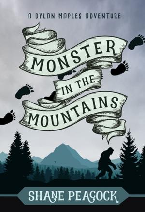 Cover of the book Monster in the Mountains by Lesley Crewe