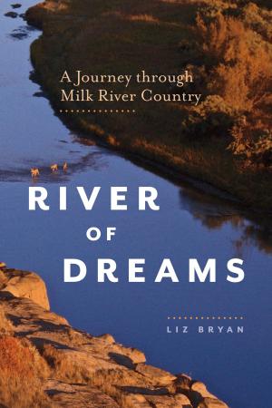 Cover of the book River of Dreams by Linda DeMeulemeester