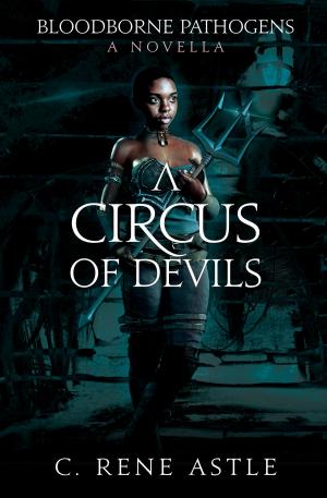 Book cover of A Circus of Devils