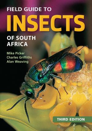 Cover of the book Field Guide to Insects of South Africa by Paige Nick