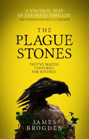 bigCover of the book The Plague Stones by 