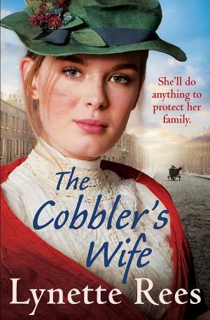 Cover of the book The Cobbler's Wife by Dan Green