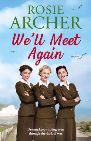 Cover of the book We'll Meet Again by Sarah Pinborough