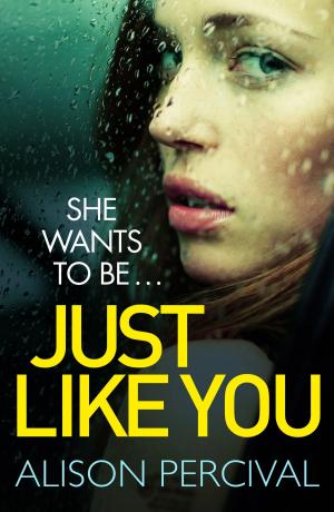 Cover of the book Just Like You by Constantine Phipps