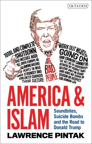Cover of the book America & Islam by Professor Douglas Robinson