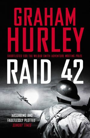 Cover of the book Raid 42 by Colin Bateman