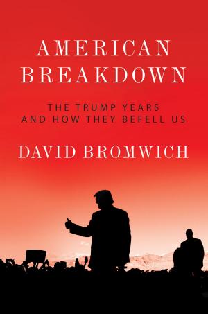 Cover of the book American Breakdown by Giovanni Arrighi, Akira Asada, Luciana Castellina, Noam Chomsky