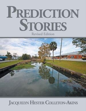 Cover of the book Prediction Stories by Elizebeth Harding