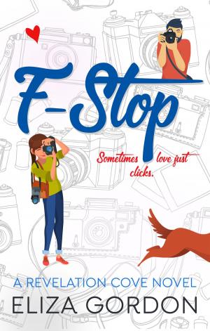 bigCover of the book F-Stop by 