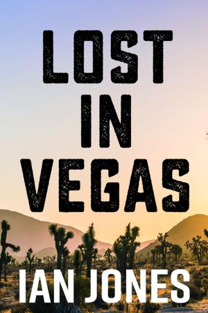 Book cover of Lost In Vegas